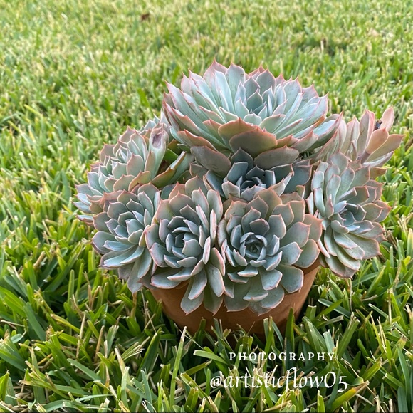 Always Surround Yourself With Pops Of Color! - Picture 2 of 3